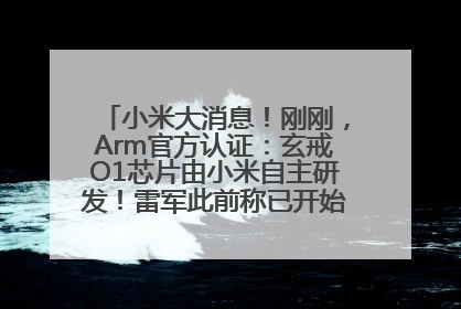 小米大消息！刚刚，Arm官方认证：玄戒O1芯片由小米自主研发！雷军此前称已开始大规模量产
