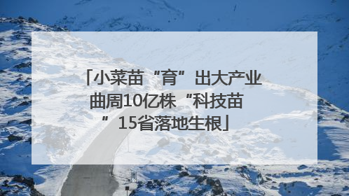 小菜苗“育”出大产业 曲周10亿株“科技苗”15省落地生根