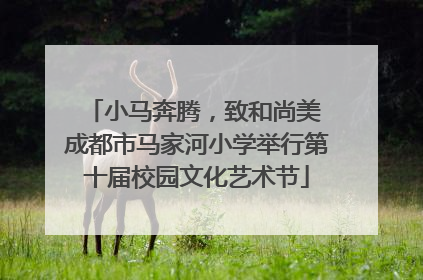 小马奔腾，致和尚美 成都市马家河小学举行第十届校园文化艺术节