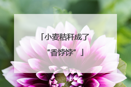 小麦秸秆成了“香饽饽”