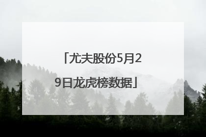 尤夫股份5月29日龙虎榜数据