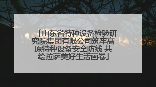 山东省特种设备检验研究院集团有限公司筑牢高原特种设备安全防线 共绘拉萨美好生活画卷