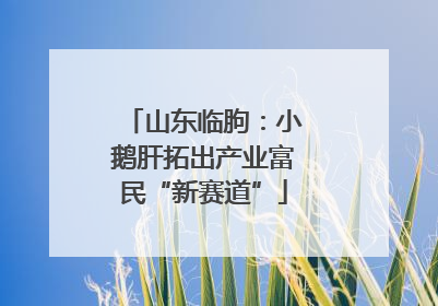 山东临朐：小鹅肝拓出产业富民“新赛道”
