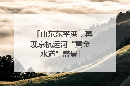 山东东平港：再现京杭运河“黄金水道”盛景