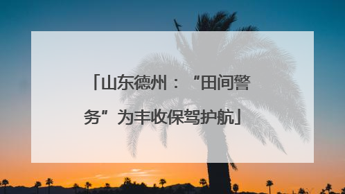 山东德州：“田间警务”为丰收保驾护航