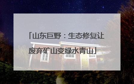 山东巨野：生态修复让废弃矿山变绿水青山