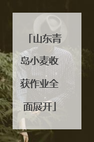 山东青岛小麦收获作业全面展开