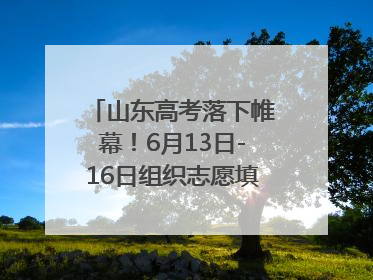 山东高考落下帷幕！6月13日-16日组织志愿填报模拟演练