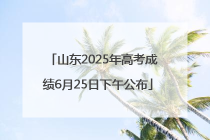 山东2025年高考成绩6月25日下午公布
