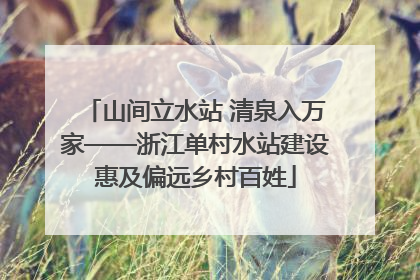 山间立水站 清泉入万家——浙江单村水站建设惠及偏远乡村百姓