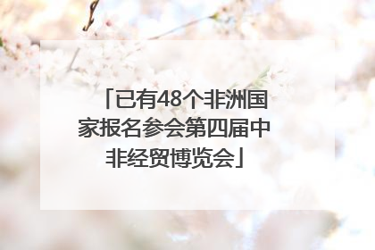 已有48个非洲国家报名参会第四届中非经贸博览会