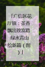 广信区花厅镇：茶香飘出致富路 绿水青山绘新篇（图）