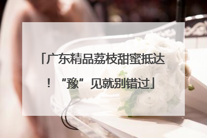 广东精品荔枝甜蜜抵达！“豫”见就别错过