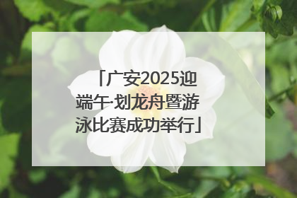 广安2025迎端午·划龙舟暨游泳比赛成功举行