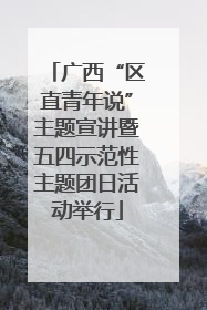 广西“区直青年说”主题宣讲暨五四示范性主题团日活动举行
