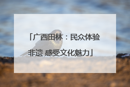 广西田林：民众体验非遗 感受文化魅力