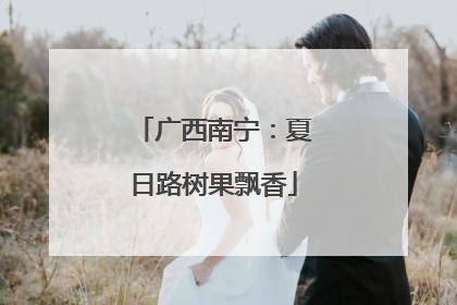 广西南宁：夏日路树果飘香