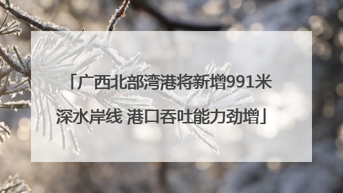 广西北部湾港将新增991米深水岸线 港口吞吐能力劲增