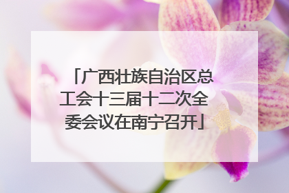 广西壮族自治区总工会十三届十二次全委会议在南宁召开