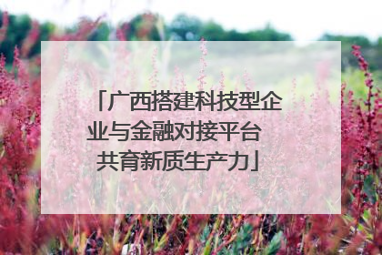 广西搭建科技型企业与金融对接平台 共育新质生产力