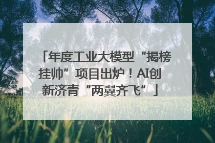年度工业大模型“揭榜挂帅”项目出炉！AI创新济青“两翼齐飞”