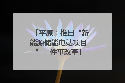 平原：推出“新能源储能电站项目”一件事改革