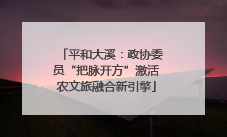 平和大溪：政协委员“把脉开方”激活农文旅融合新引擎
