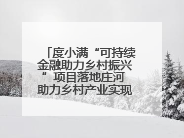 度小满“可持续金融助力乡村振兴”项目落地庄河 助力乡村产业实现绿色转型