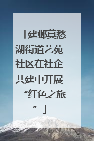 建邺莫愁湖街道艺苑社区在社企共建中开展“红色之旅”