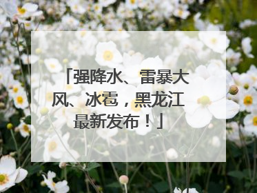 强降水、雷暴大风、冰雹，黑龙江最新发布！