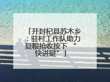开封杞县苏木乡：驻村工作队助力夏粮抢收按下 “快进键”
