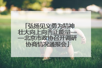 弘扬见义勇为精神 壮大向上向善正能量——北京市政协召开调研协商情况通报会