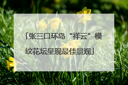张三口环岛“祥云”模纹花坛呈现最佳景观