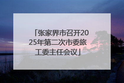 张家界市召开2025年第二次市委旅工委主任会议