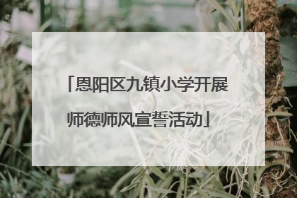恩阳区九镇小学开展师德师风宣誓活动