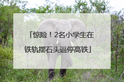 惊险！2名小学生在铁轨摆石头逼停高铁