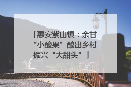 惠安紫山镇：余甘“小酸果”酿出乡村振兴“大甜头”