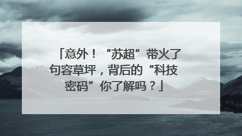 意外！“苏超”带火了句容草坪，背后的“科技密码”你了解吗？