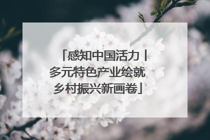 感知中国活力丨多元特色产业绘就乡村振兴新画卷
