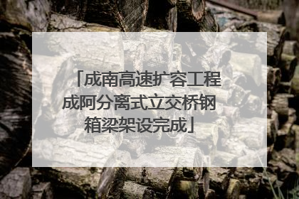 成南高速扩容工程成阿分离式立交桥钢箱梁架设完成