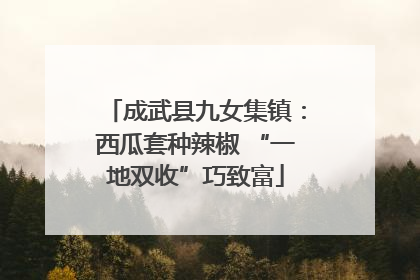 成武县九女集镇：西瓜套种辣椒 “一地双收”巧致富