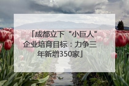 成都立下“小巨人”企业培育目标：力争三年新增350家