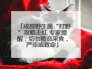 成都野生菌“打野”攻略走红 专家提醒：切勿随意采食，严重或致命