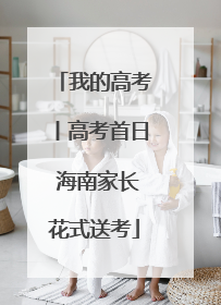 我的高考丨高考首日 海南家长花式送考