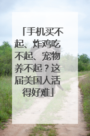 手机买不起、炸鸡吃不起、宠物养不起？这届美国人活得好难