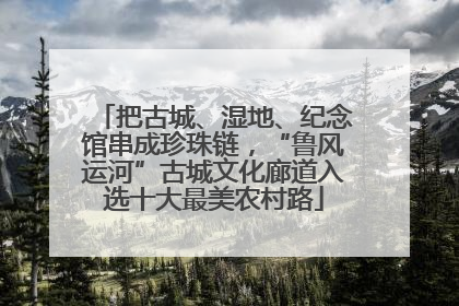 把古城、湿地、纪念馆串成珍珠链，“鲁风运河”古城文化廊道入选十大最美农村路