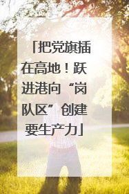 把党旗插在高地！跃进港向“岗队区”创建要生产力