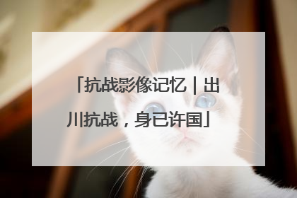 抗战影像记忆｜出川抗战，身已许国