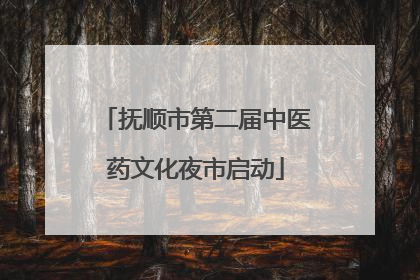 抚顺市第二届中医药文化夜市启动