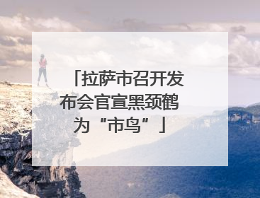 拉萨市召开发布会官宣黑颈鹤为“市鸟”